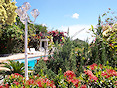 The floral garden and the swimming-pool