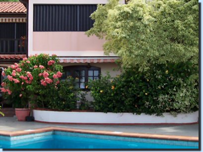 location villa martinique villa O'Mullane